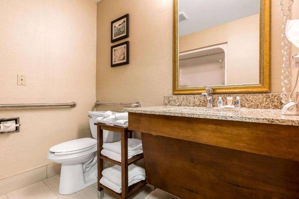 Comfort Inn & Suites Mishawaka-South Bend