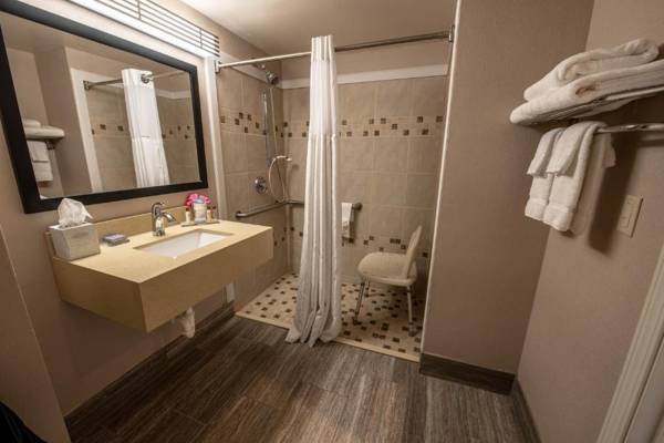 Wingate by Wyndham Indianapolis Airport Plainfield