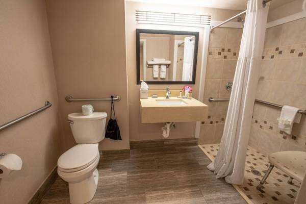 Wingate by Wyndham Indianapolis Airport Plainfield