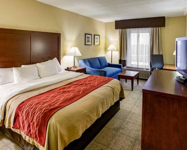 Comfort Inn Lexington Southeast