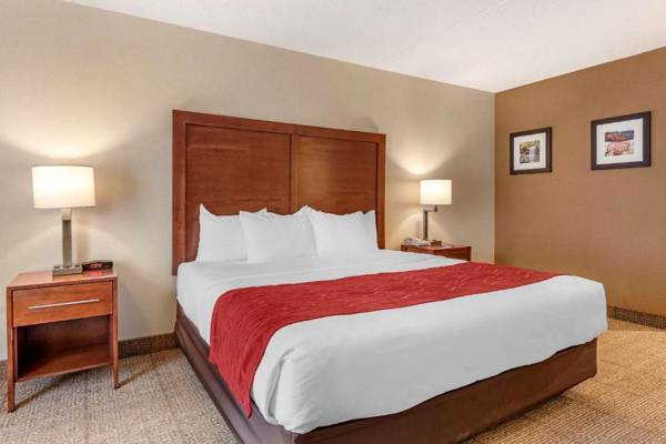 Comfort Inn & Suites Morehead