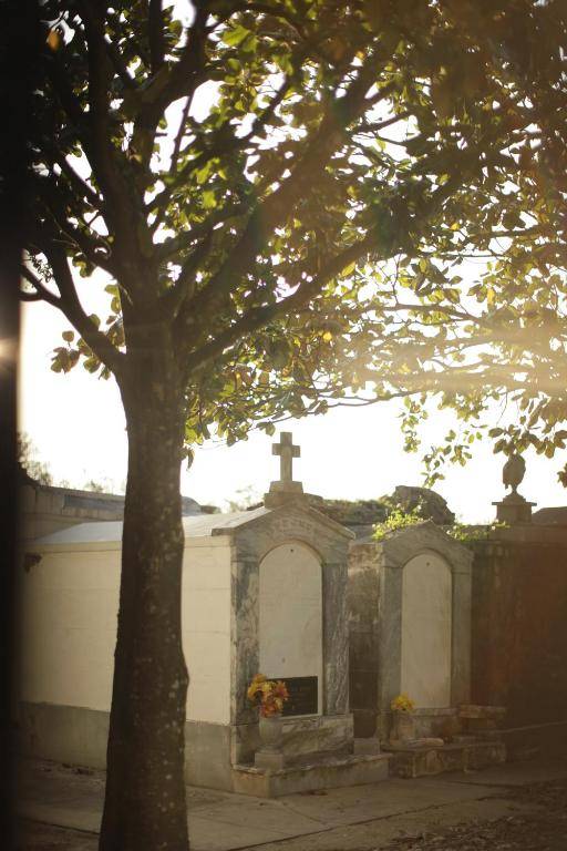 New Orleans Marriott Metairie At Lakeway