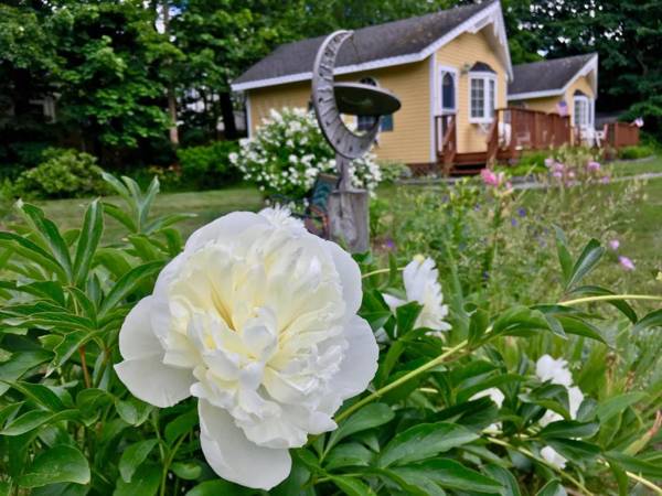 Sand Bar Cottage Inn