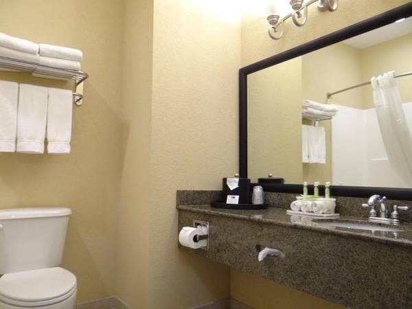 Holiday Inn Express Hotel & Suites Salisbury - Delmar an IHG Hotel