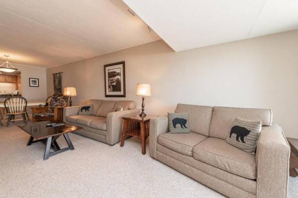 104B - Lakefront One Bedroom Condo with 2 Fireplaces & Flat Screen TV!