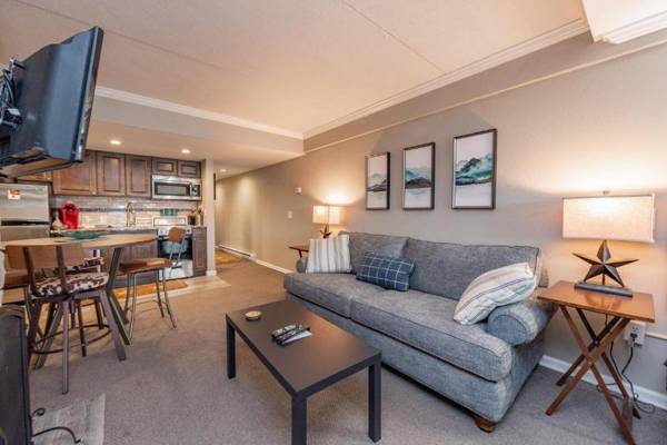 206A - Lakefront Efficiency Condo Indoor Pool Access!