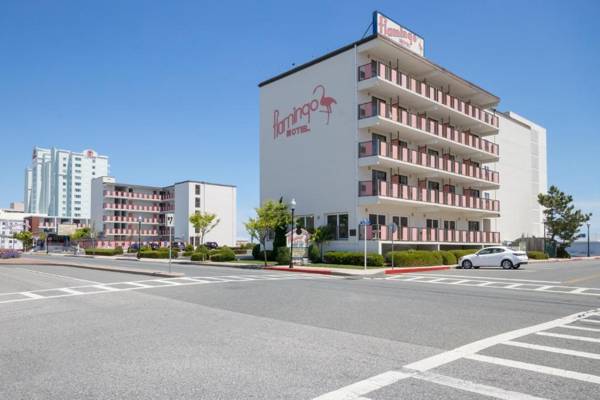 Flamingo Motel
