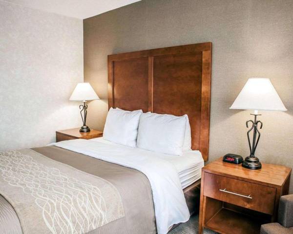 Quality Inn Seekonk-Providence