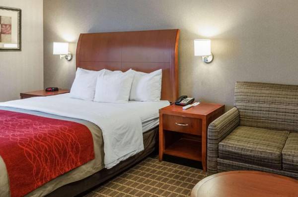 Comfort Inn & Suites West Springfield