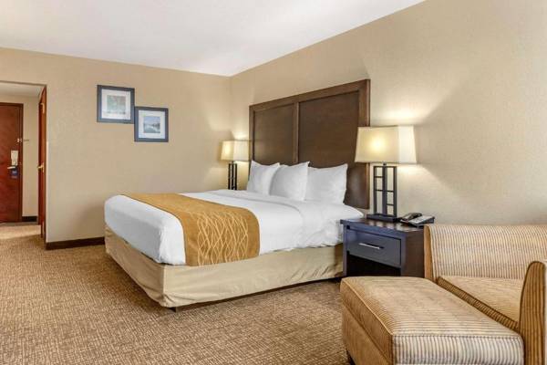 Comfort Inn & Suites Allen Park/Dearborn