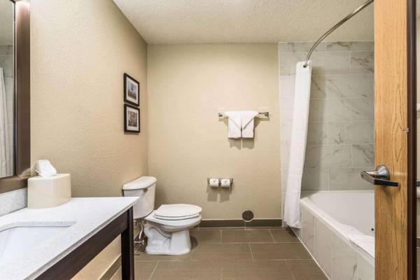 Comfort Inn Downtown Detroit