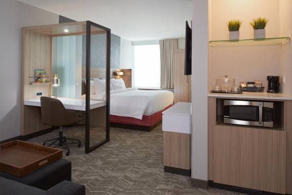 SpringHill Suites by Marriott East Lansing University Area Lansing Area