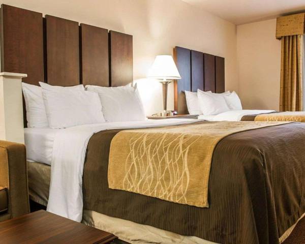 Comfort Inn & Suites Fenton