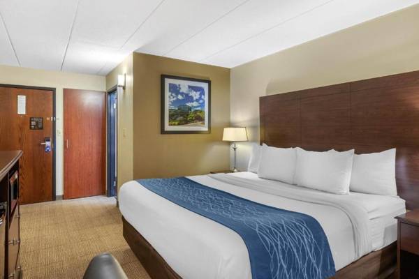 Comfort Inn Airport Grand Rapids