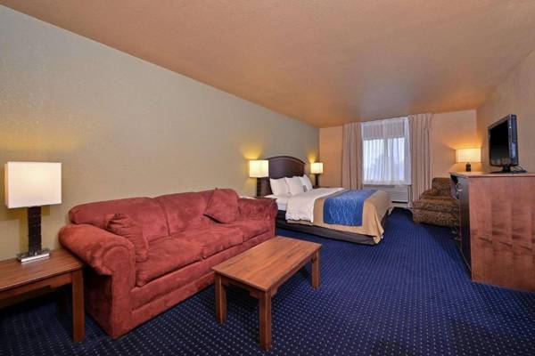 Comfort Inn Albert Lea