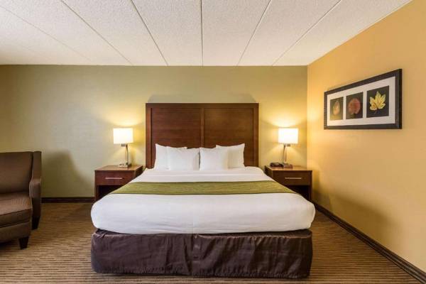 Comfort Inn Plymouth-Minneapolis