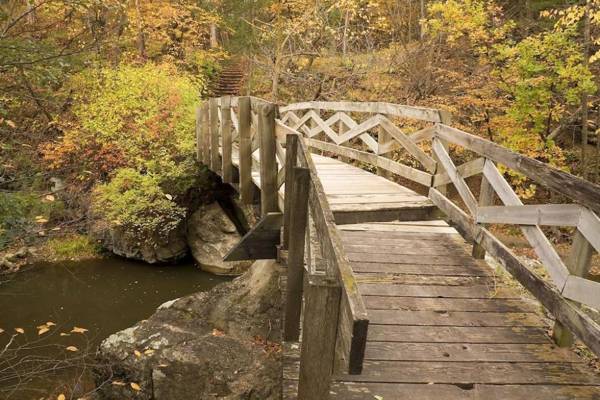 Redwood Valley Lodge