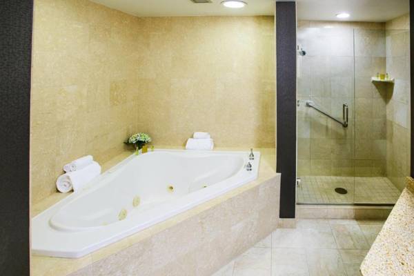 DoubleTree by Hilton Rochester - Mayo Clinic Area