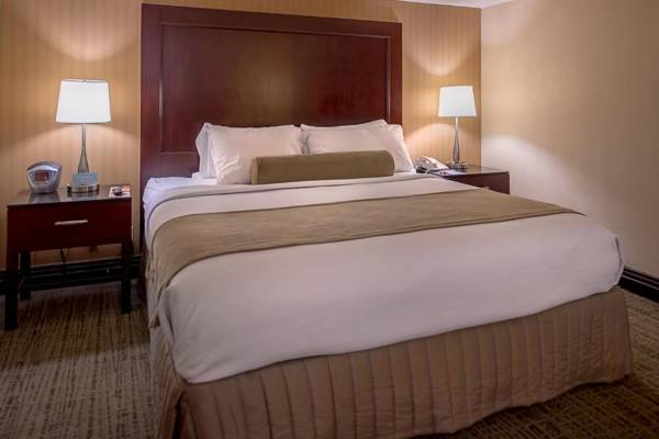 Crowne Plaza Hotel St. Louis Airport an IHG Hotel