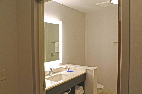 Holiday Inn Express & Suites - St. Louis South - I-55 an IHG Hotel