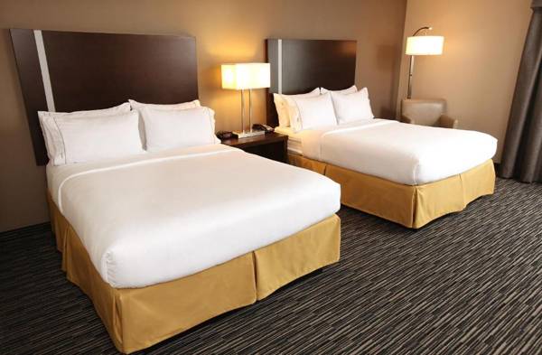 Holiday Inn Express & Suites Omaha South Ralston Arena an IHG Hotel