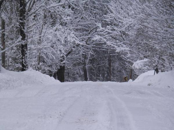 The Maples at Warner