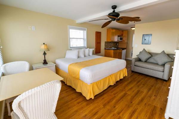 American Safari Motel