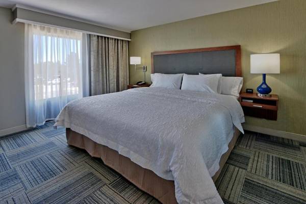 Hampton Inn & Suites Las Cruces I-10 Nm