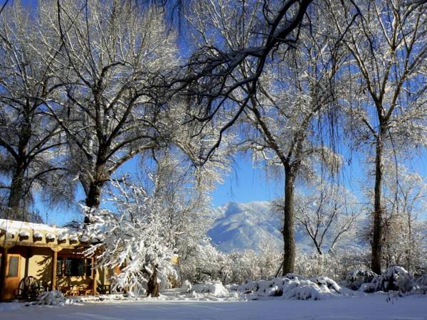 Hacienda Del Sol B&B