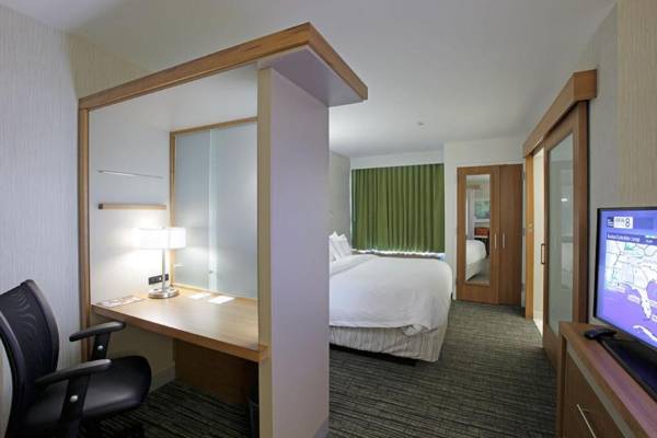 Workspace - SpringHill Suites by Marriott Carle Place Garden City