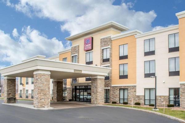 Comfort Suites Cicero - Syracuse North