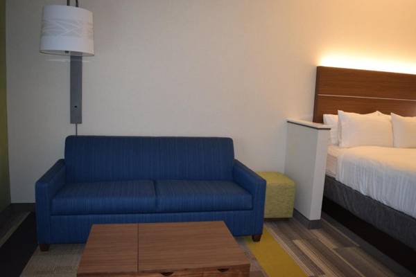 Holiday Inn Express & Suites - Ithaca an IHG Hotel