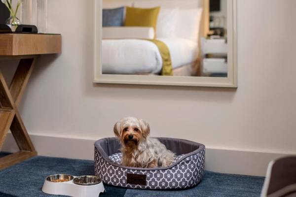 Iberostar 70 Park Avenue