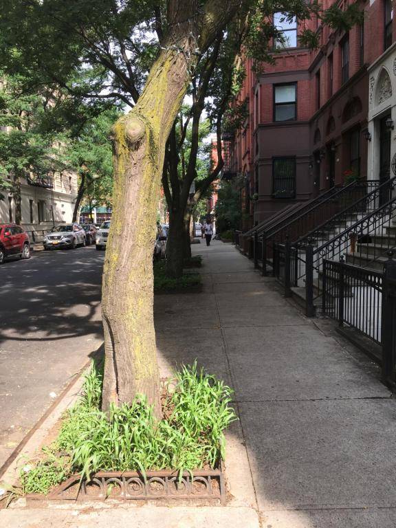 NYC Townhouse Apartment