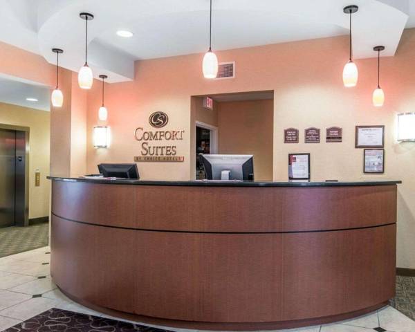 Comfort Suites Vestal near University