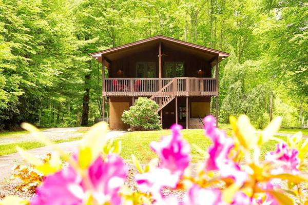 The Historic Ol Gun Range Cabin