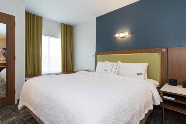 SpringHill Suites by Marriott Charlotte Ballantyne