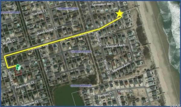 1622 - Monkey Sea Monkey Dune