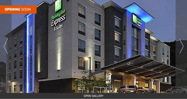 Holiday Inn Express & Suites - Jacksonville-Camp LeJeune Area an IHG Hotel