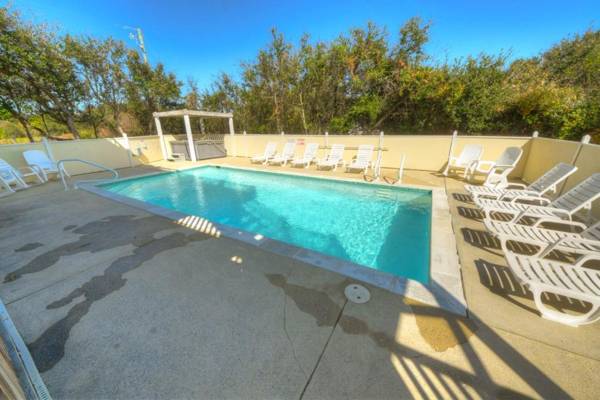 3068 - Carolina Sunshine