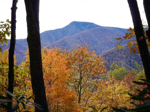 Mountain Getaway on 12 Acres with Sunroom and Views!