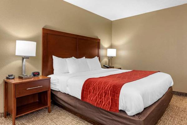 Comfort Inn & Suites Cincinnati Eastgate