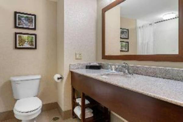 Holiday Inn Express and Suites Newark Heath