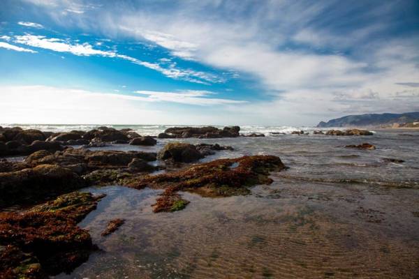 The Coho Oceanfront Lodge