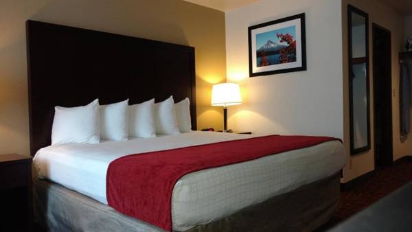 Best Western Pony Soldier