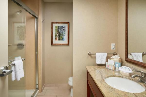 Hampton Inn and Suites Salem