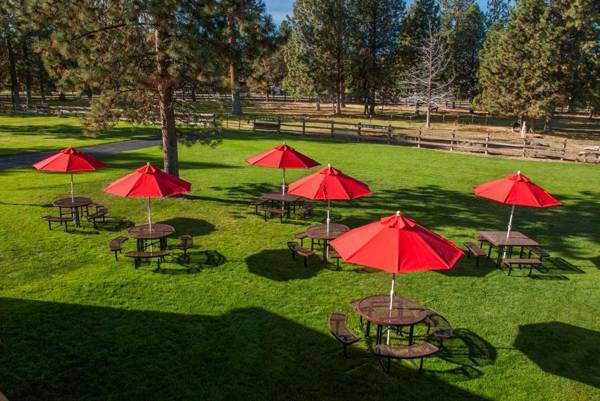 Best Western Ponderosa Lodge