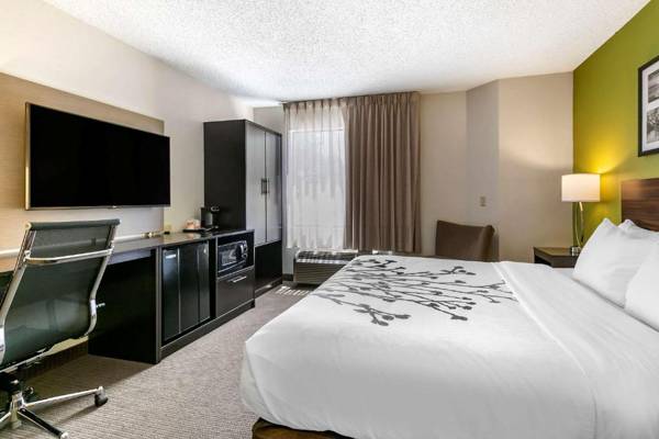 Workspace - Sleep Inn Allentown-Fogelsville