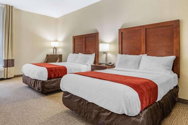 Comfort Inn & Suites Clemson - University Area