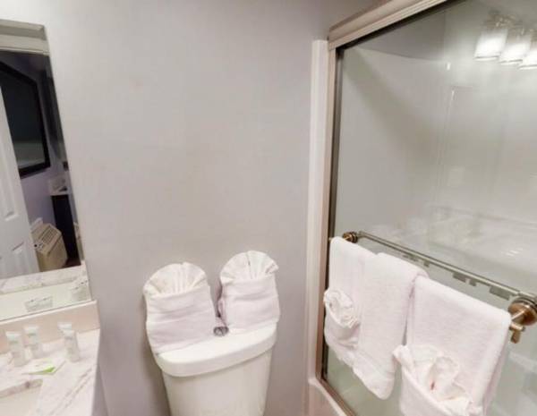 Aventura on the Ocean